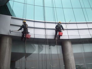 服务项目 泸州特丽洁建筑外墙清洗公司